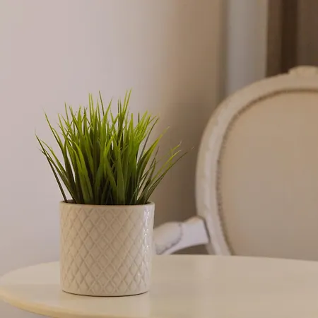 فندق مبيت وإفطار Novelli 36